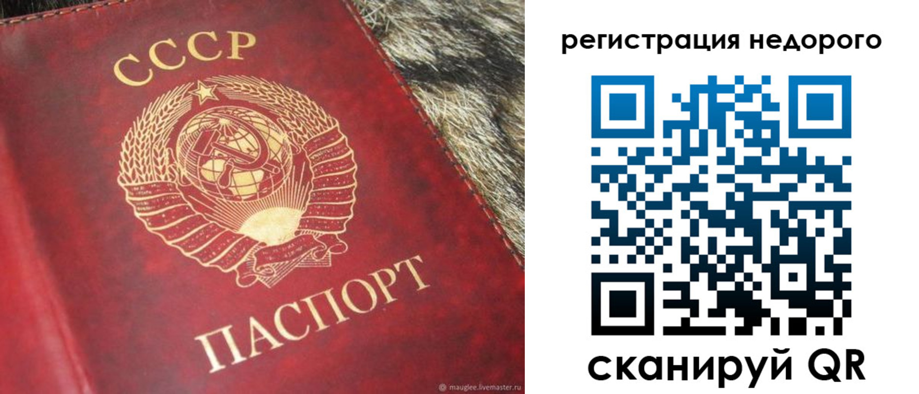 прописка ребенка в Армянске